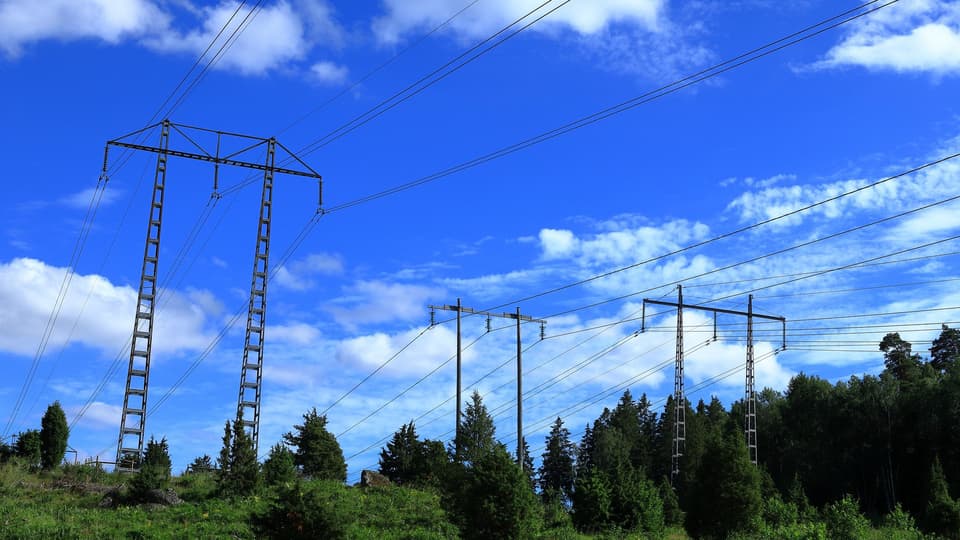 Elledningar mot en blå himmel och med en skog i bakgrunden.