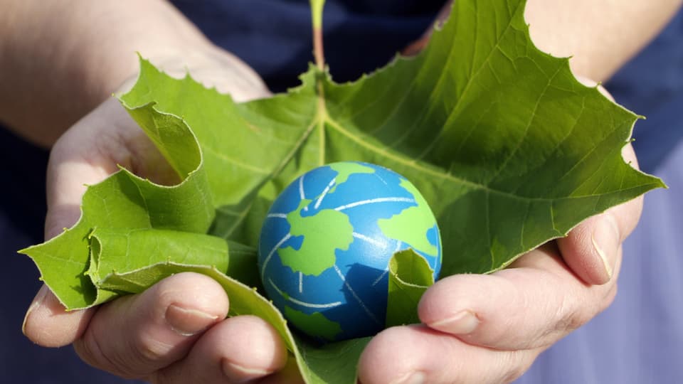 Sustainability
