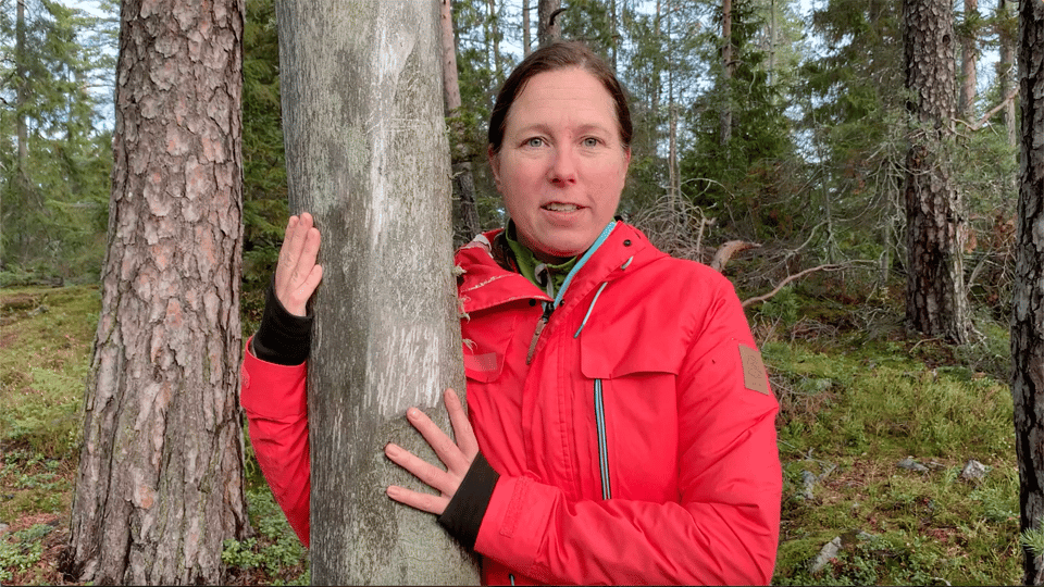 Jennie Sandström i skogen