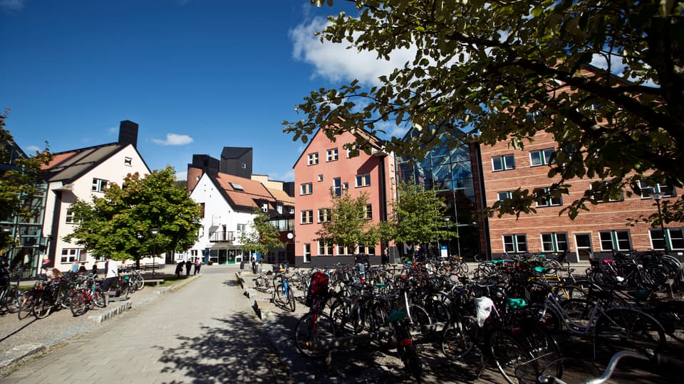 Campus Sundsvall