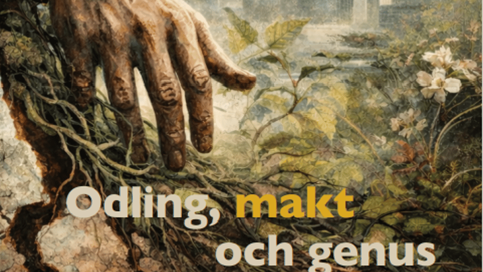 Illustrerat bokomslag 