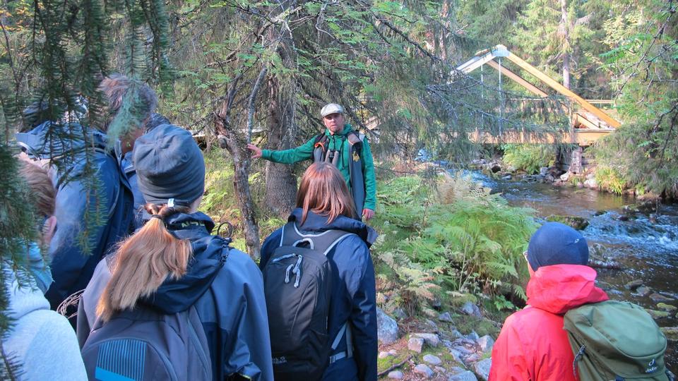 En grupp människor i friluftskläder står i skog och lyssnar på en man som pratar.
