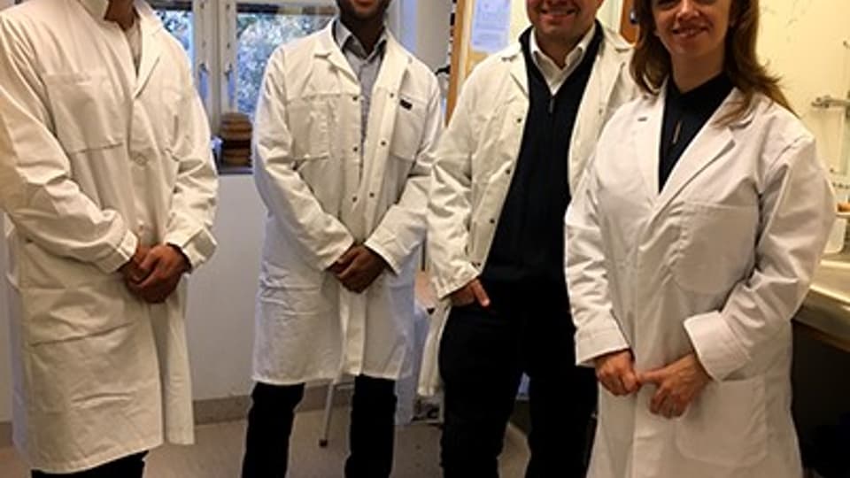OrganoFuel.jpg