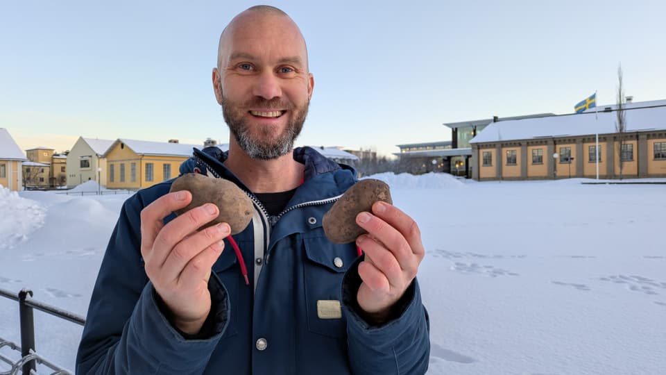 Man håller upp två potatisar