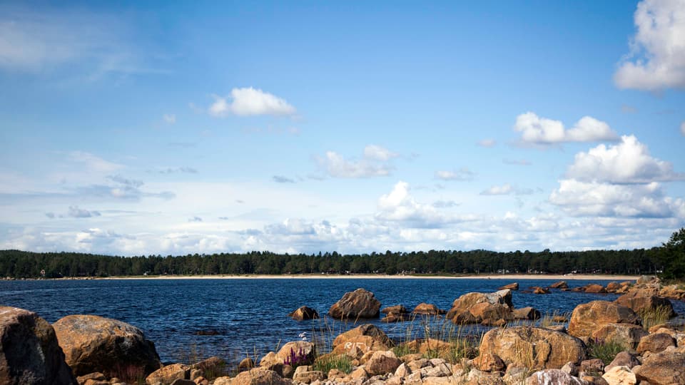 Bild på vatten, blå himmel och en stenstrand 