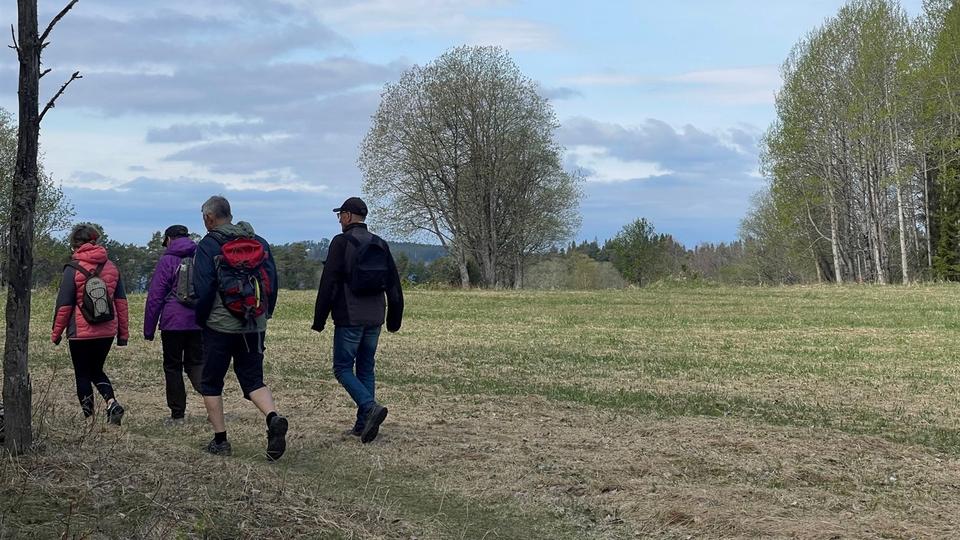 Fyra personer på vandring med ryggsäckar på sig i naturlandskap. 