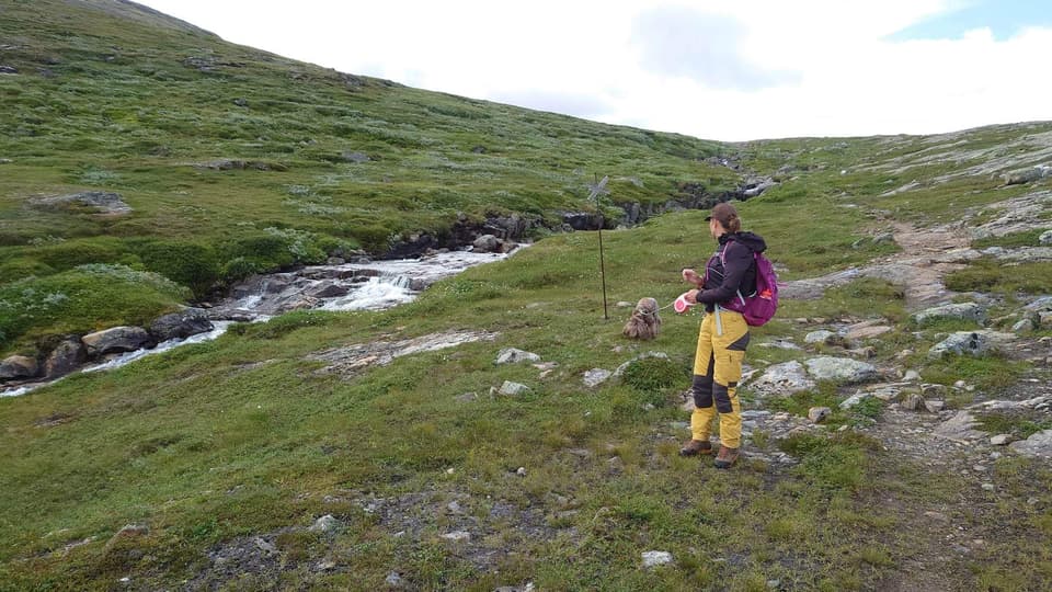 Kvinna med en hund på fjället