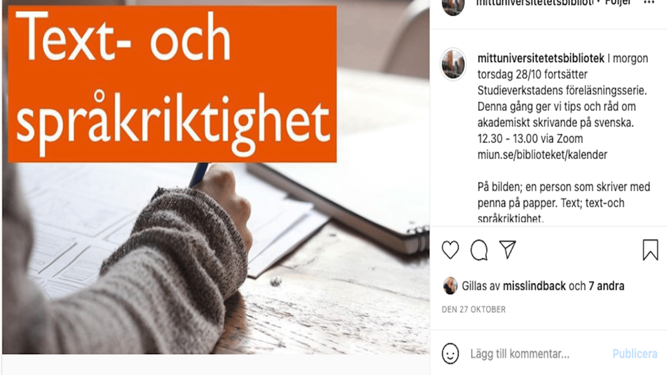 Exempel på syntolkat inlägg