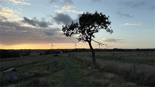 Image not found
