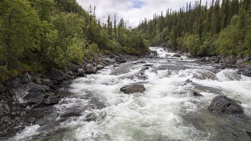 handöl-0910_Björn Dahlfors- dahlfors.com  Jämtkraft AB.jpg